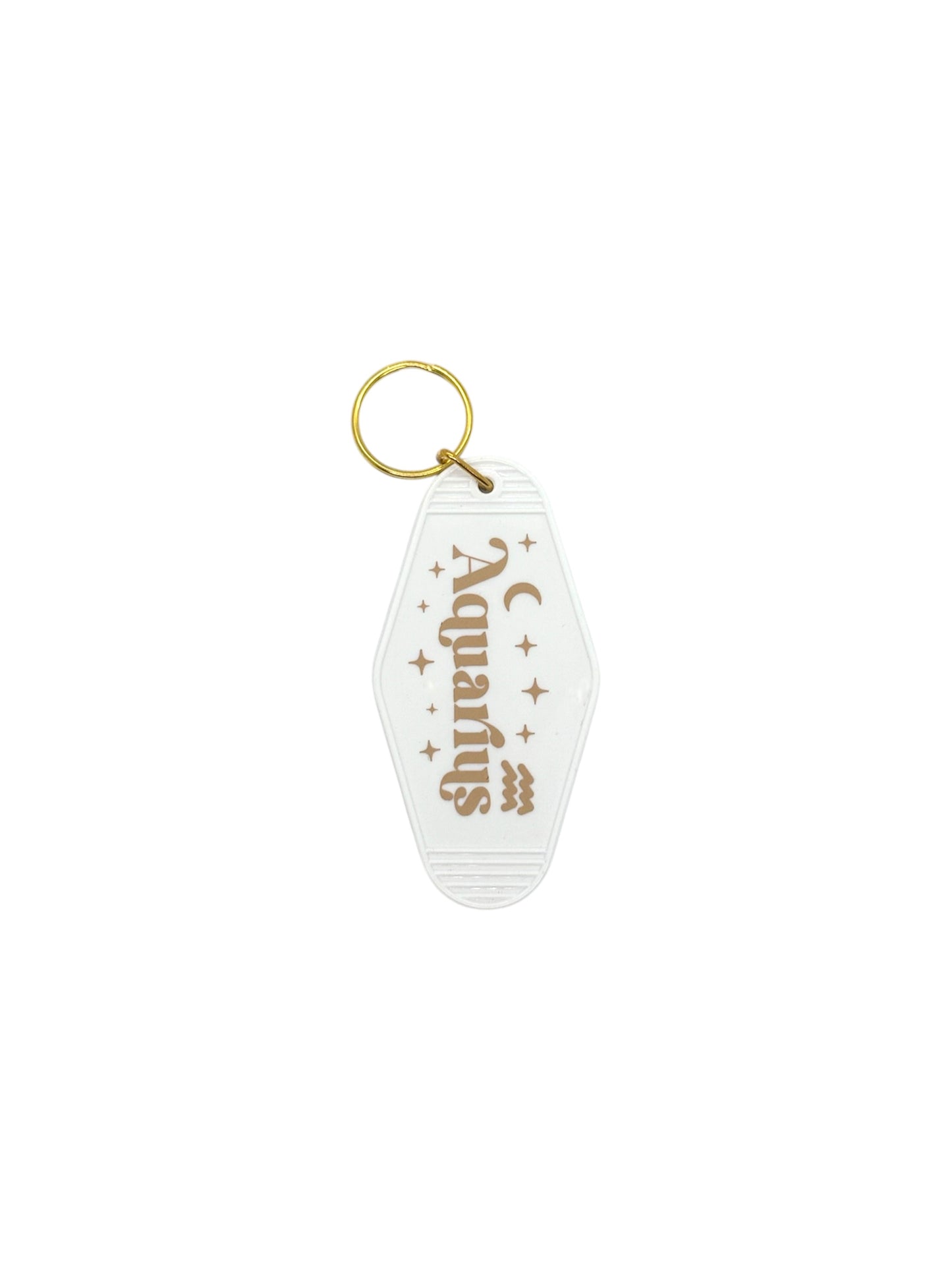 Aquarius Keychain